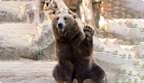 Wir liefern per Botendienst
